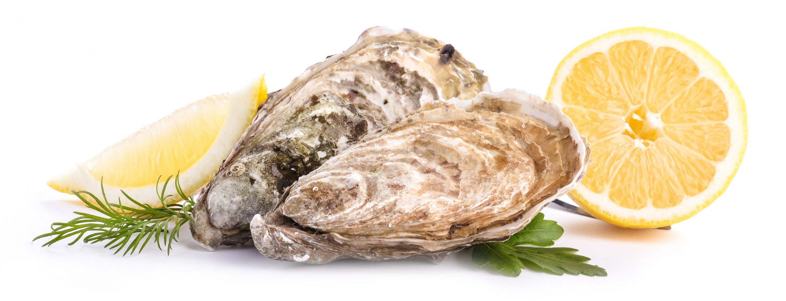 Produkter Freshtag By Vitsab